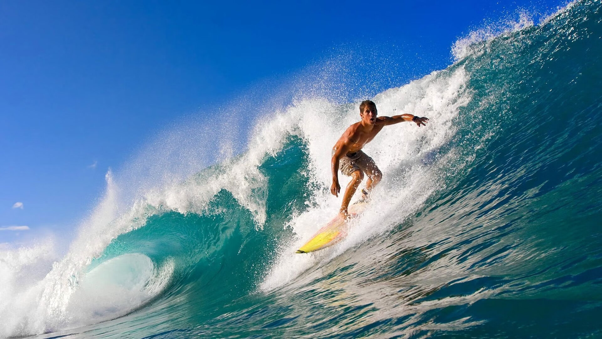 开拓者逆转广厦队，约基奇成为关键先生